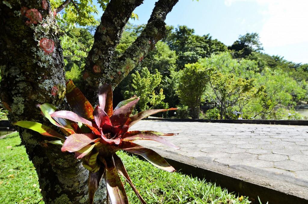 Spa Igaratá Extérieur photo